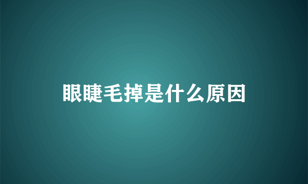 眼睫毛掉是什么原因