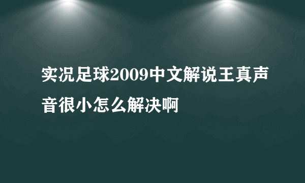 实况足球2009中文解说王真声音很小怎么解决啊