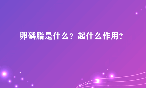 卵磷脂是什么？起什么作用？