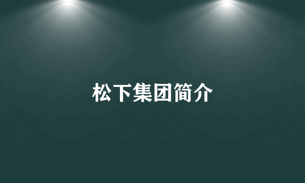 松下集团简介