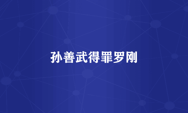 孙善武得罪罗刚
