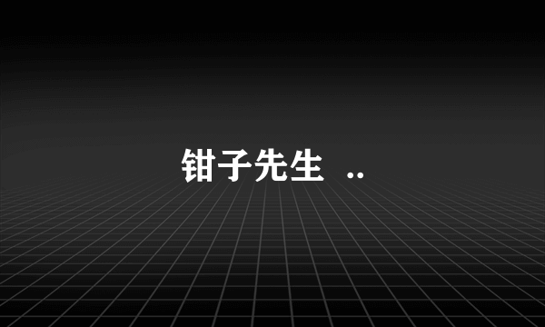 钳子先生  ..
