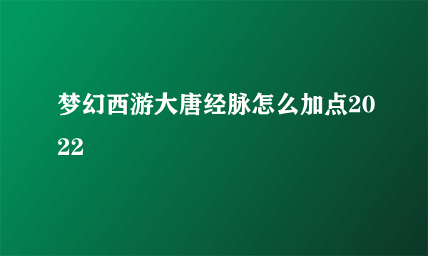 梦幻西游大唐经脉怎么加点2022
