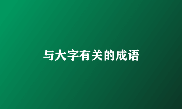 与大字有关的成语