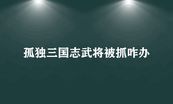 孤独三国志武将被抓咋办