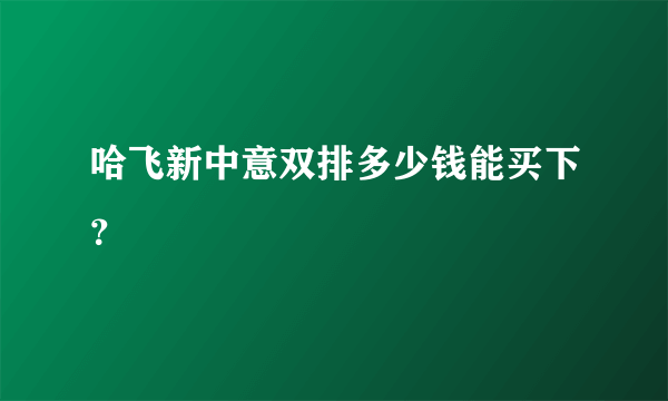 哈飞新中意双排多少钱能买下？