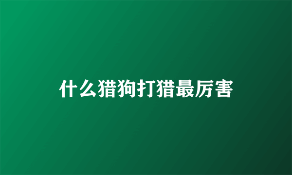 什么猎狗打猎最厉害