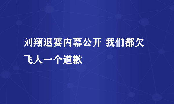 刘翔退赛内幕公开 我们都欠飞人一个道歉