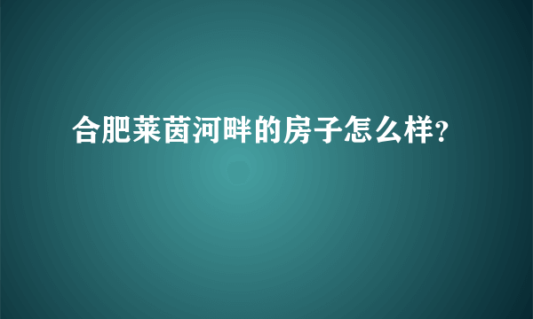 合肥莱茵河畔的房子怎么样？