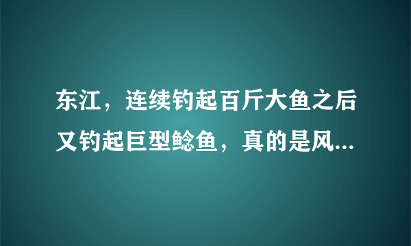 东江，连续钓起百斤大鱼之后又钓起巨型鲶鱼，真的是风水宝地？