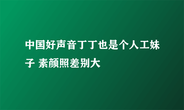 中国好声音丁丁也是个人工妹子 素颜照差别大