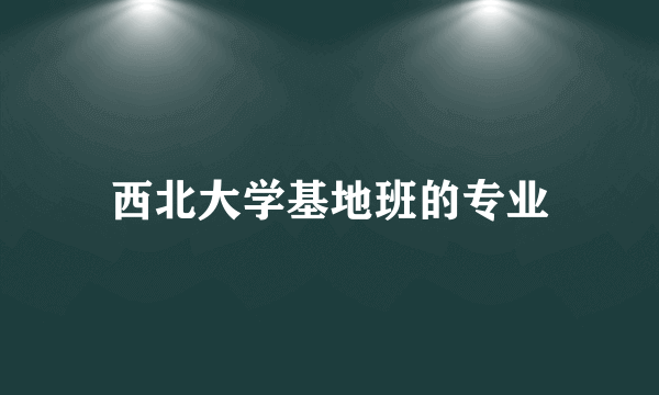 西北大学基地班的专业
