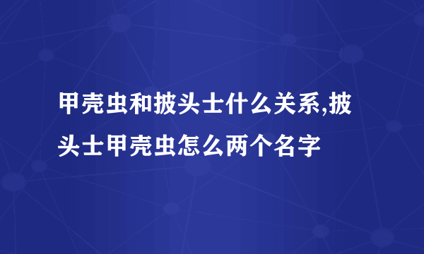 甲壳虫和披头士什么关系,披头士甲壳虫怎么两个名字