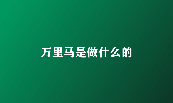 万里马是做什么的