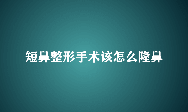 短鼻整形手术该怎么隆鼻