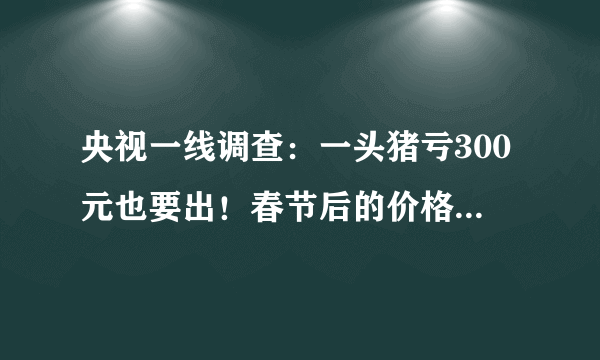 央视一线调查：一头猪亏300元也要出！春节后的价格更不可预知！