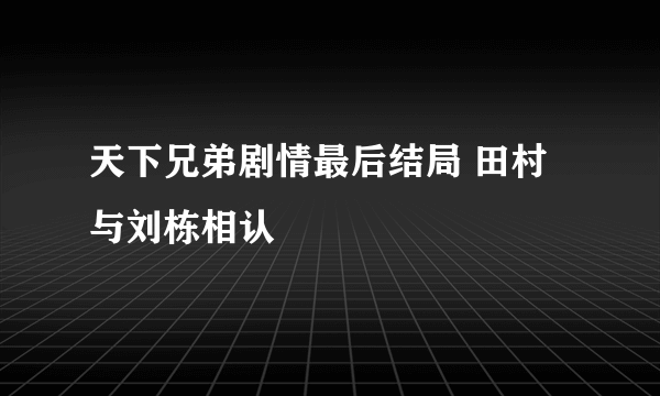 天下兄弟剧情最后结局 田村与刘栋相认