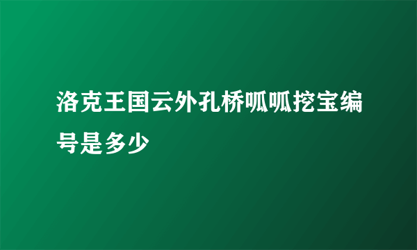 洛克王国云外孔桥呱呱挖宝编号是多少