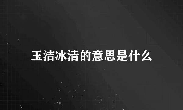 玉洁冰清的意思是什么