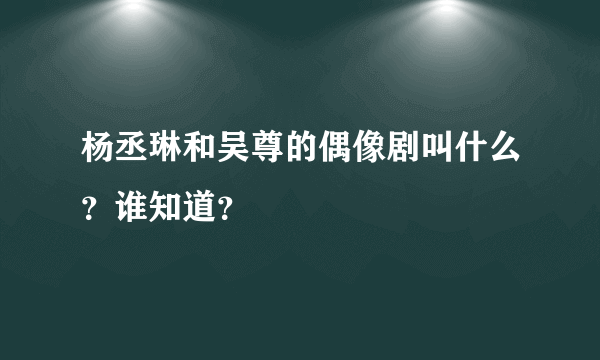 杨丞琳和吴尊的偶像剧叫什么？谁知道？