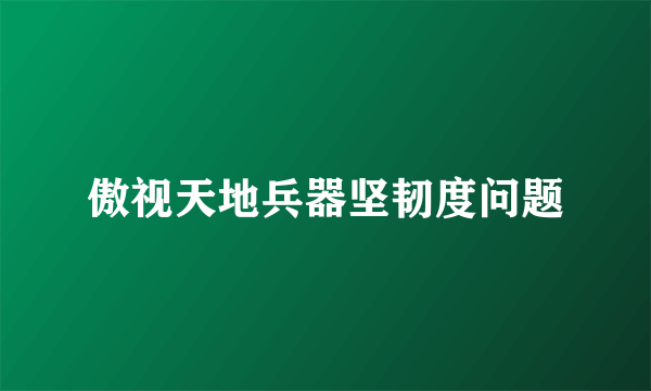 傲视天地兵器坚韧度问题