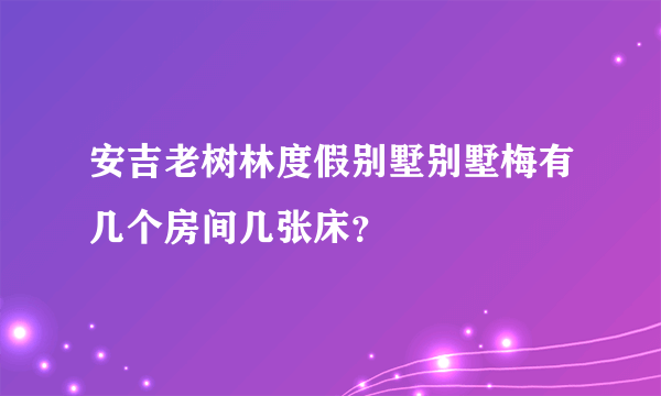安吉老树林度假别墅别墅梅有几个房间几张床？