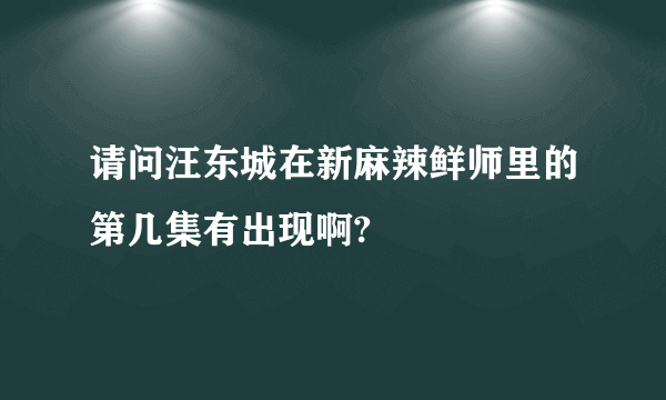 请问汪东城在新麻辣鲜师里的第几集有出现啊?