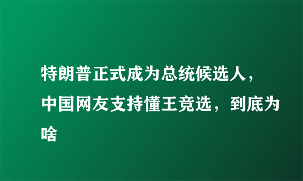 特朗普正式成为总统候选人，中国网友支持懂王竞选，到底为啥
