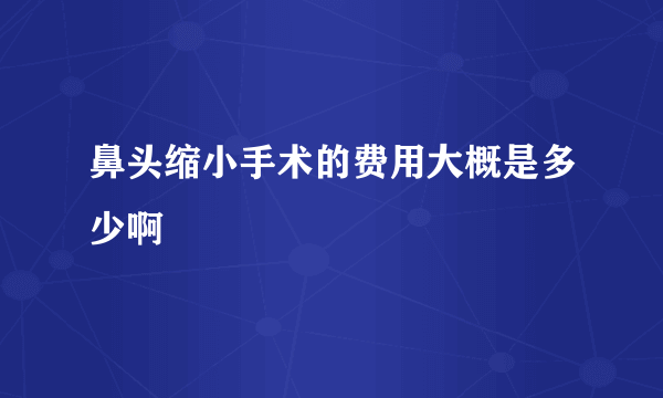 鼻头缩小手术的费用大概是多少啊