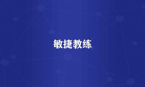 敏捷教练