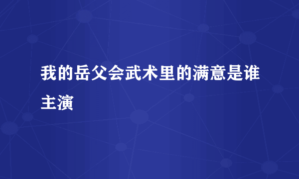 我的岳父会武术里的满意是谁主演