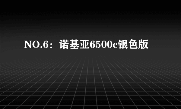 NO.6：诺基亚6500c银色版