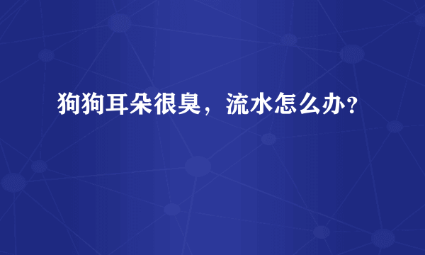 狗狗耳朵很臭，流水怎么办？