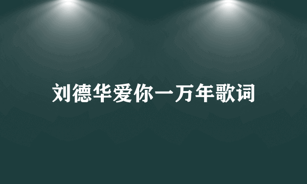 刘德华爱你一万年歌词