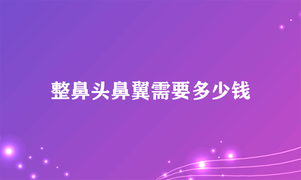 整鼻头鼻翼需要多少钱