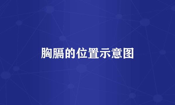 胸膈的位置示意图