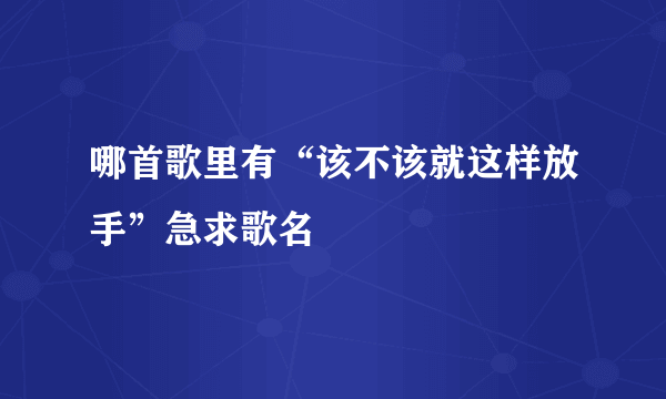 哪首歌里有“该不该就这样放手”急求歌名