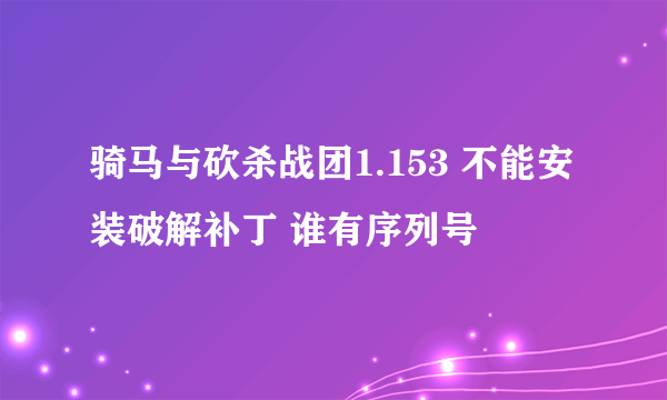 骑马与砍杀战团1.153 不能安装破解补丁 谁有序列号