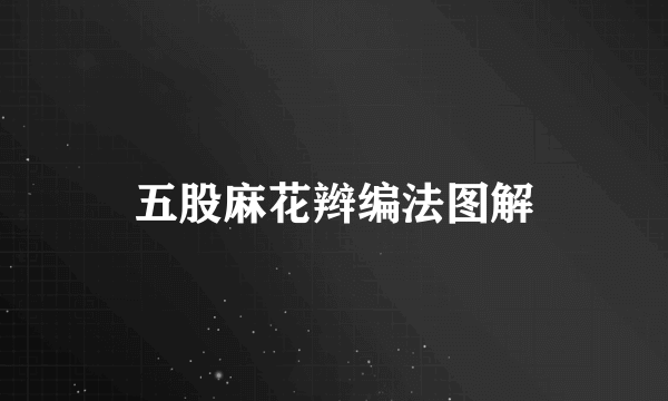 五股麻花辫编法图解