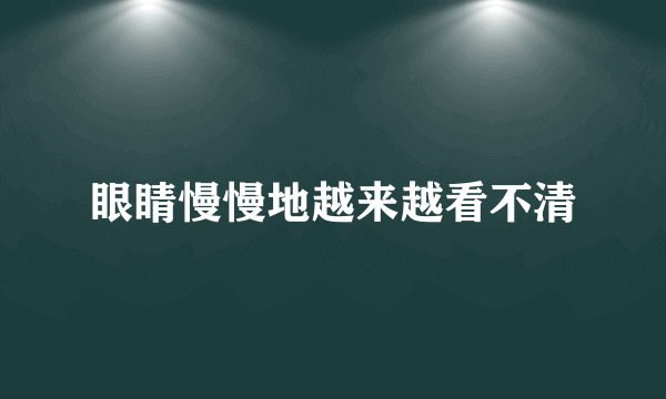 眼睛慢慢地越来越看不清