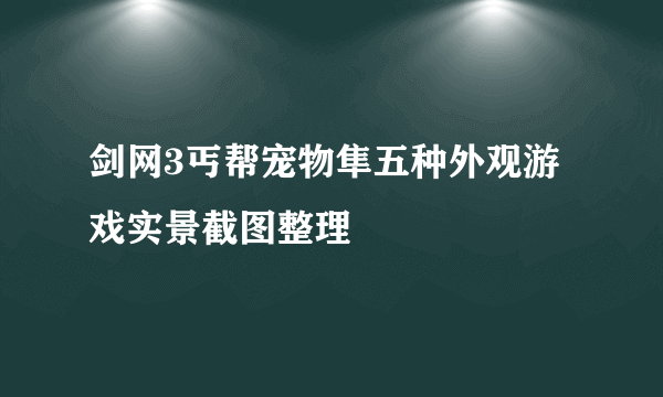 剑网3丐帮宠物隼五种外观游戏实景截图整理