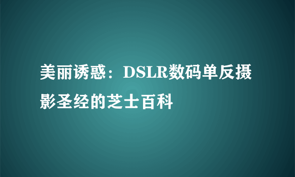 美丽诱惑：DSLR数码单反摄影圣经的芝士百科