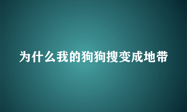为什么我的狗狗搜变成地带