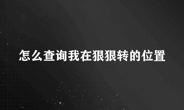 怎么查询我在狠狠转的位置