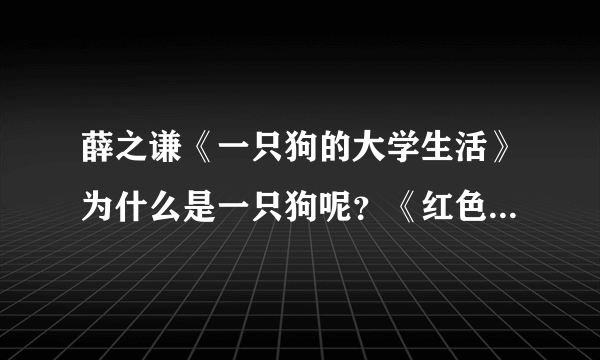 薛之谦《一只狗的大学生活》为什么是一只狗呢？《红色石头》歌词是“又多一只狗”是什么意思？