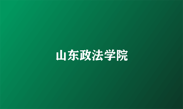 山东政法学院