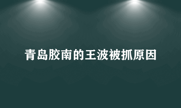 青岛胶南的王波被抓原因