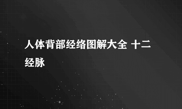 人体背部经络图解大全 十二经脉