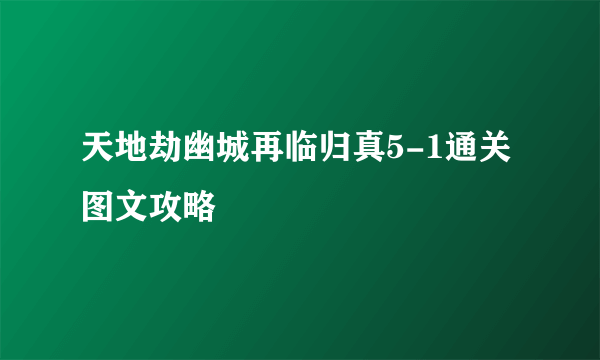 天地劫幽城再临归真5-1通关图文攻略