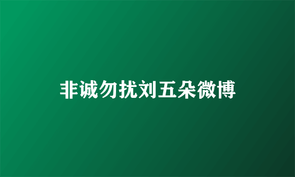 非诚勿扰刘五朵微博